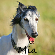 Mia