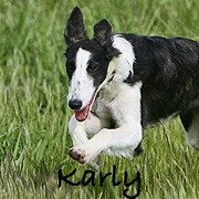 Karly